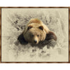 Pondering Grizzly Wrapped Canvas
