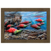 The Last Run Fishing Bear Framed Print