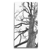 Bobcat Tree Canvas Wall Art