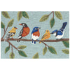 Perch Party Blue Floor Mat - 20 x 30 - OUT OF STOCK UNTIL 07/29/2026