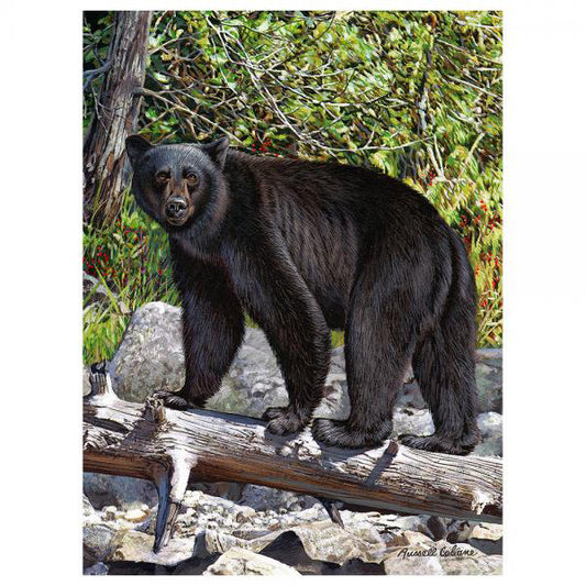 Ebony Bear Jigsaw Puzzle (1000 pc)