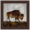 Bison Grazing Framed Print