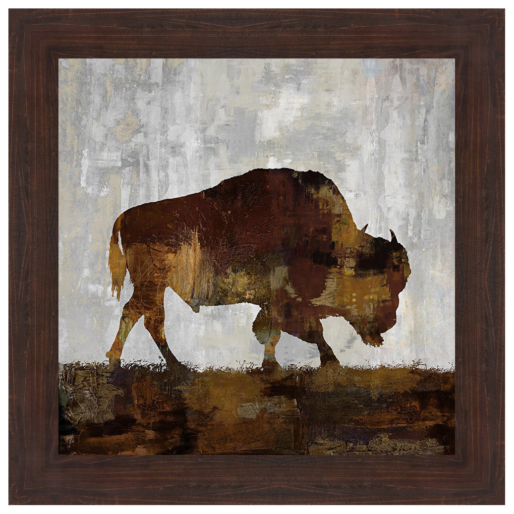 Bison Grazing Framed Print