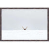 Hiding Elk Wall Art