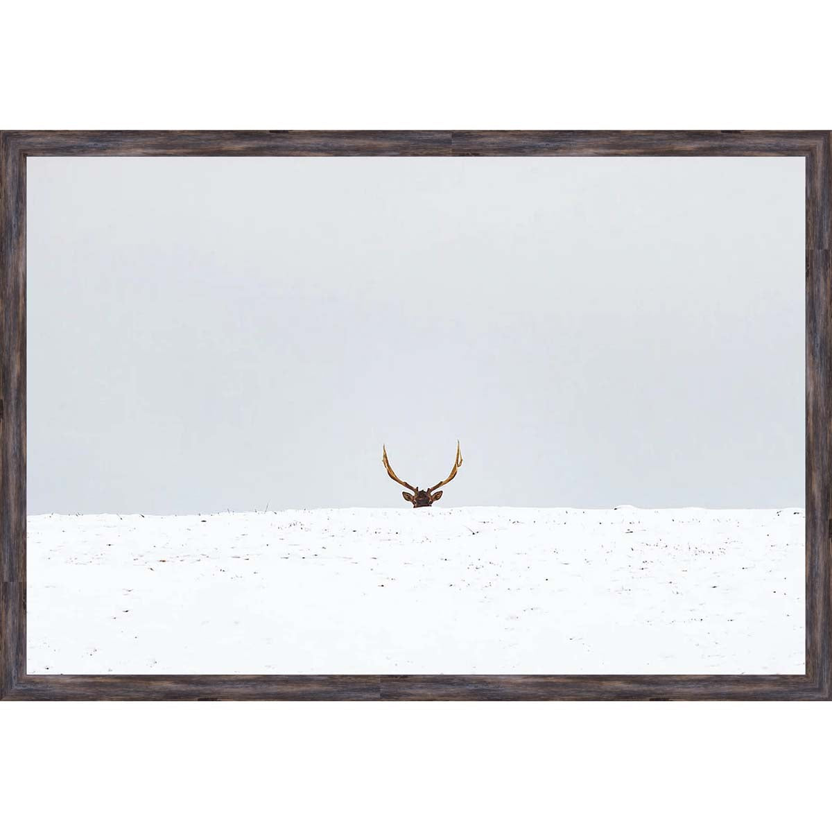 Hiding Elk Wall Art