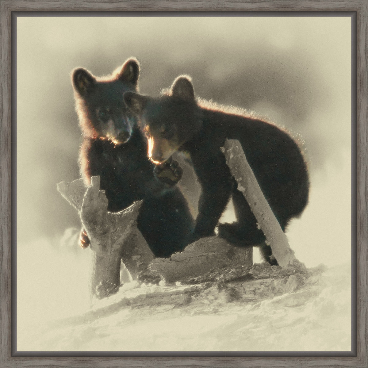 Morning Playtime Framed Canvas
