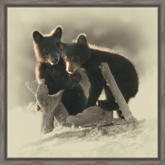 Morning Playtime Framed Canvas