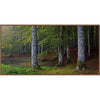 Woodland River III Wall Art