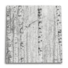 Birch Owl Canvas Wall Art