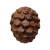 Cast Iron Pinecone Knob