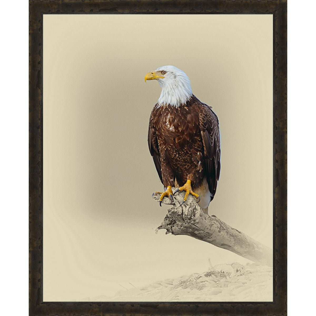 An Eagle's View Framed Canvas