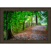 Green Pathway Framed Canvas