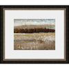 Hidden Forest II Framed Print