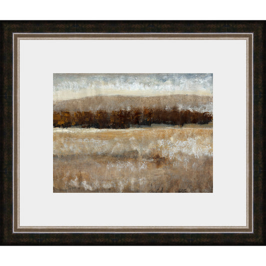 Hidden Forest II Framed Print