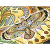 Hawk Blanket