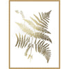 Golden Fern I Framed Print