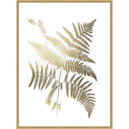Golden Fern I Framed Print