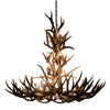 48 Inch Mule Deer Antler Chandelier - 12 Light