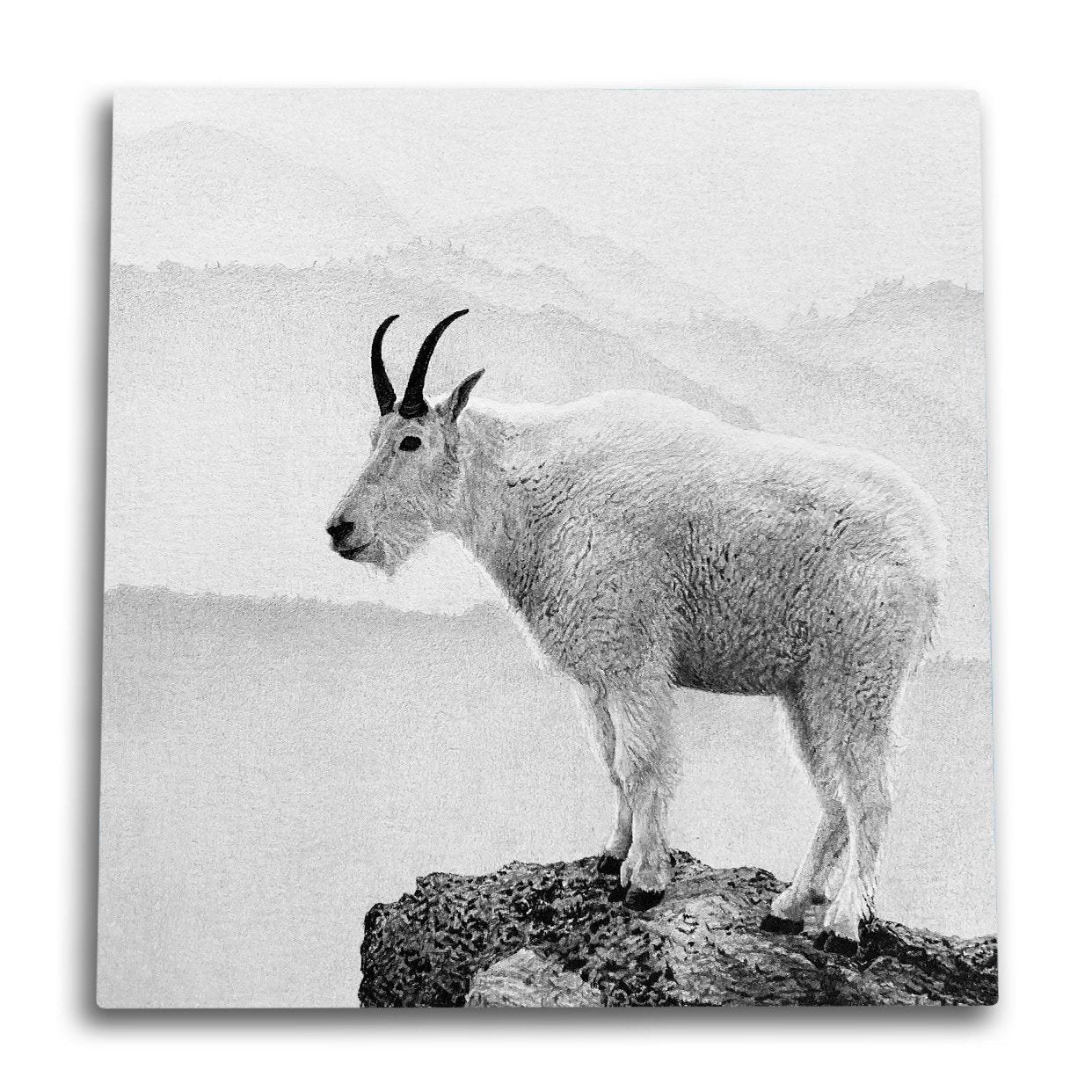 Rocky Point Canvas Wall Art