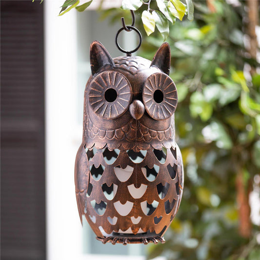 Argos Owl LED Lantern