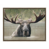 Wild Waters Moose Framed Wall Art