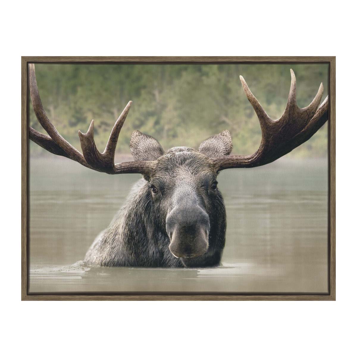 Wild Waters Moose Framed Wall Art