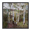 Mountain Forest in Summer Framed Canvas