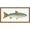 Catch of the Day I Wall Art