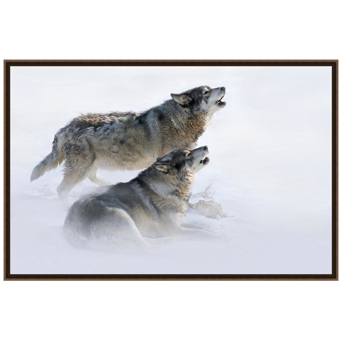Winter Howl Canvas Art