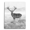 Red Stag Canvas Wall Art
