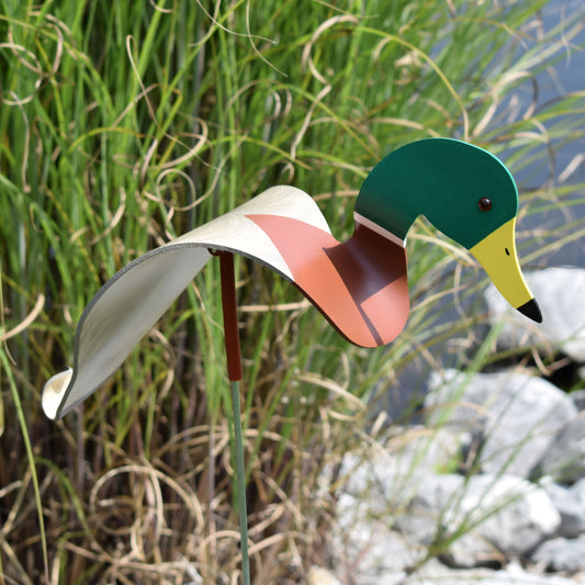 Dancing Outdoor Mallard