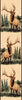 Bugling Elk Rug - 2 x 7