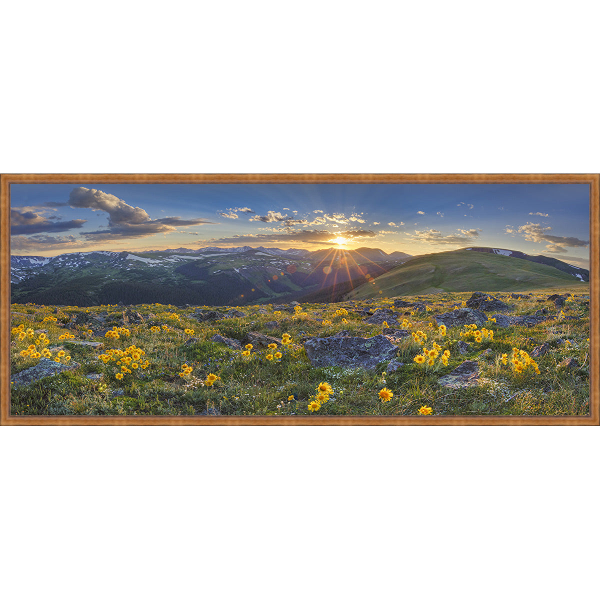 Best View in the Rockies Framed Canvas