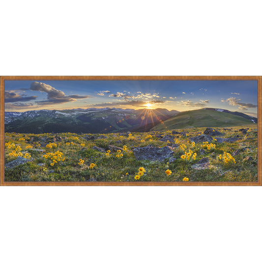 Best View in the Rockies Framed Canvas