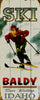 Personalized Ski Sign (Female)