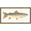 Catch of the Day III Wall Art