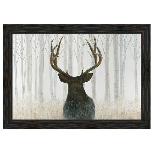 Into the Forest Framed Canvas