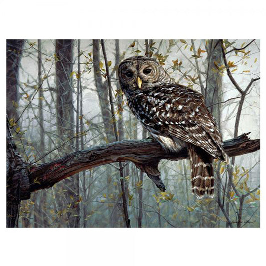 Owl Forest Jigsaw Puzzle (1000 pc)