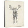 Moose Pencil Sketch Canvas Wall Art