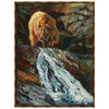 Bear Fishing Framed Canvas