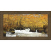 Ambered Autumn 3D Wall Canvas