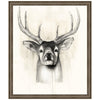 Timberland Animals II Framed Print