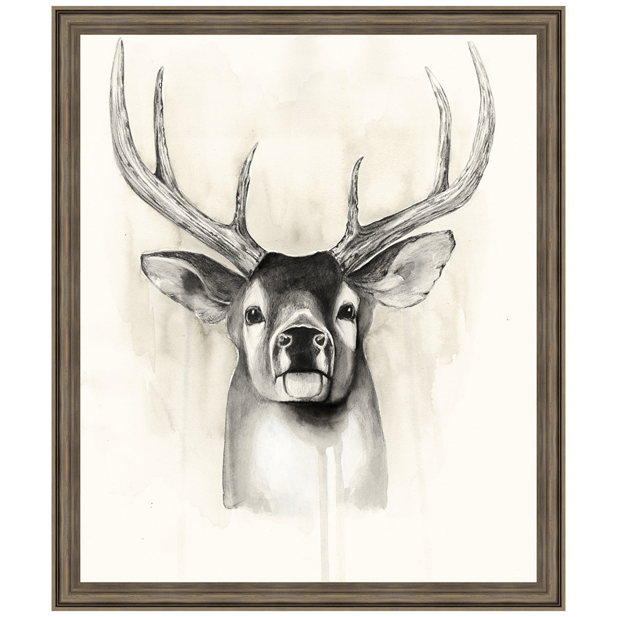 Timberland Animals II Framed Print