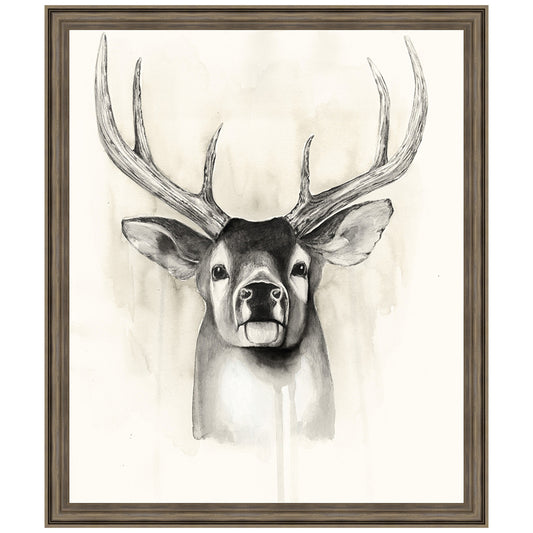 Timberland Animals II Framed Print