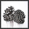 Pinecone Sketch II Wall Art