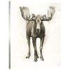 Custom Majestic Wildlife I Mirror Wrapped Canvas