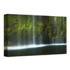 Oasis Wrapped Canvas