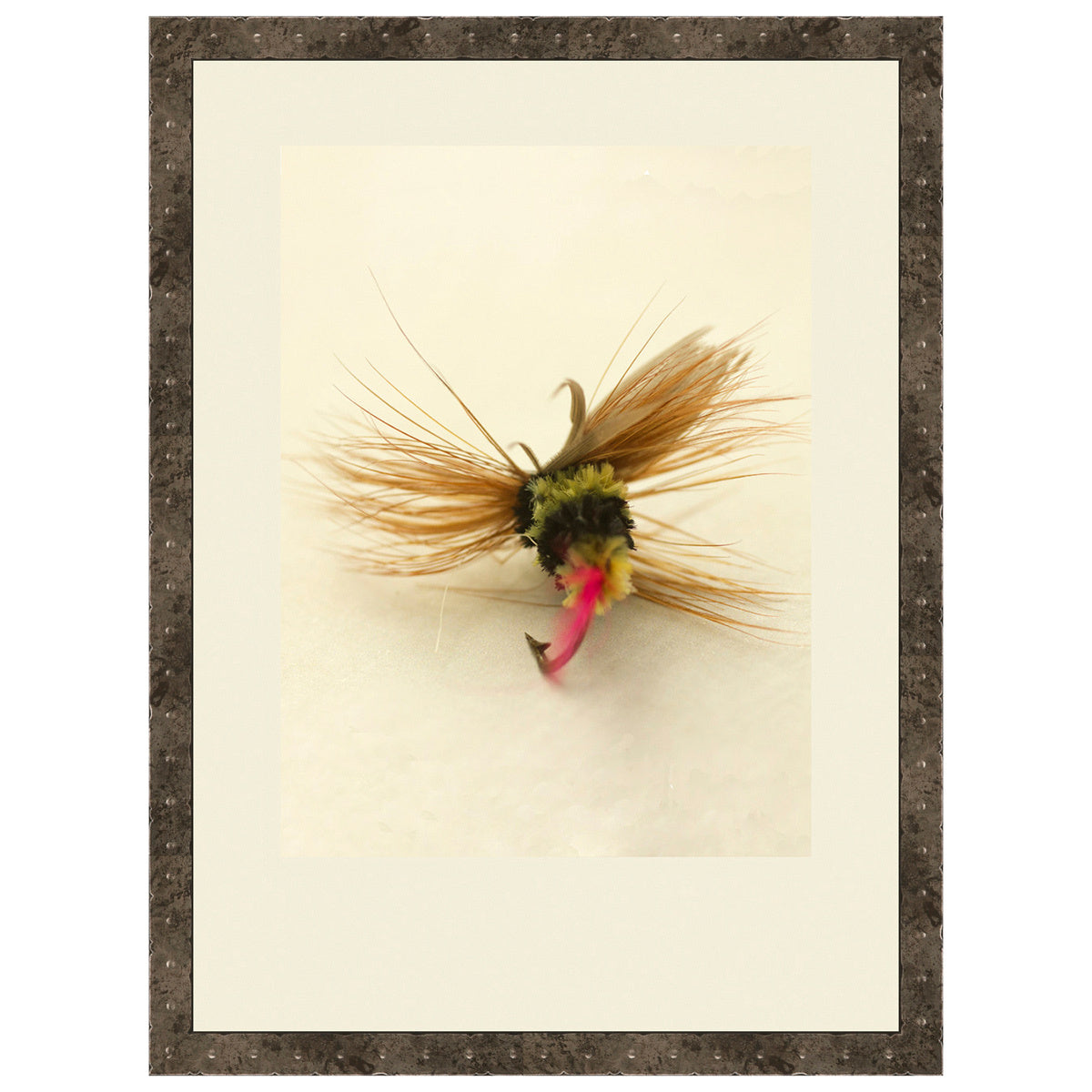 Macro Lures IV Framed Print