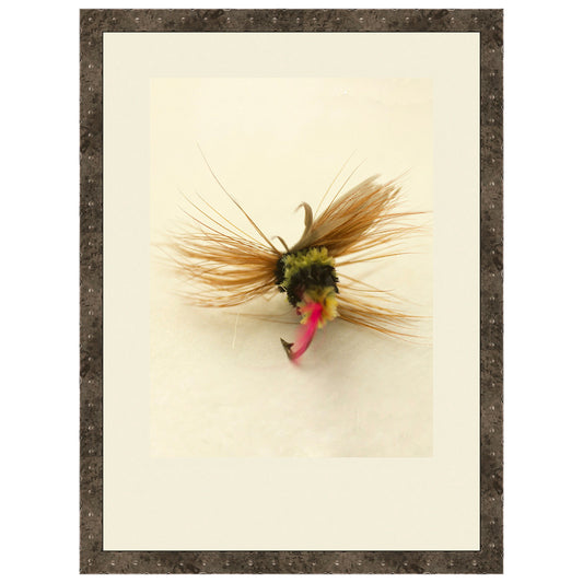 Macro Lures IV Framed Print