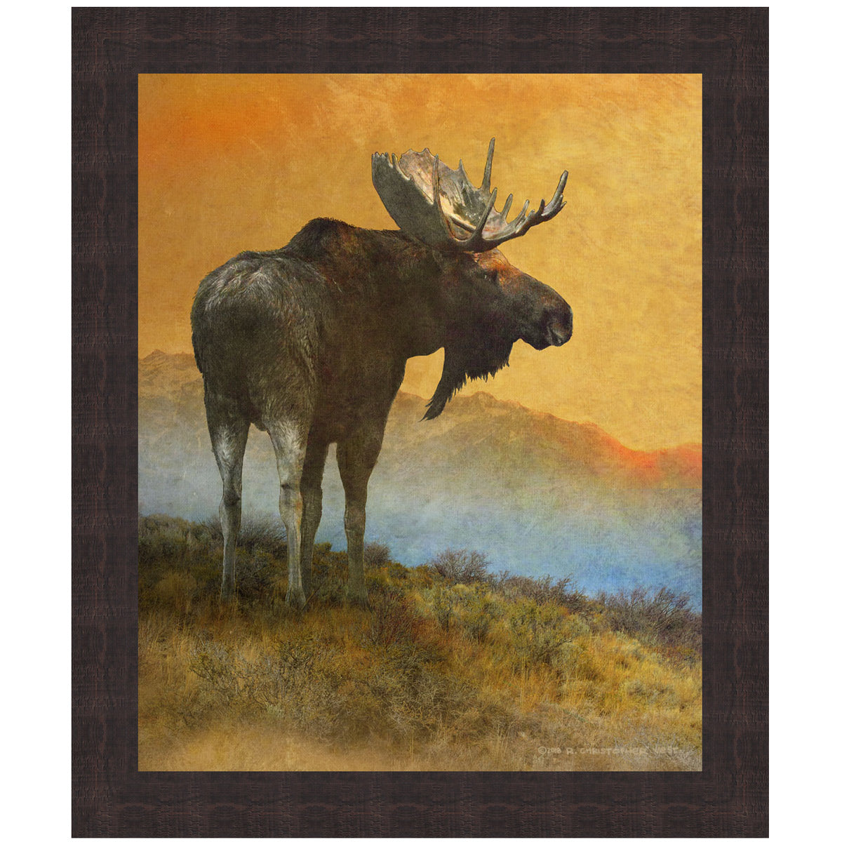 Sunset Moose Canvas Art